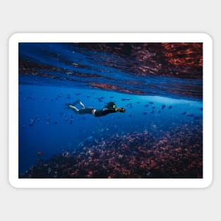 Red Sea-Scuba Diving Sticker